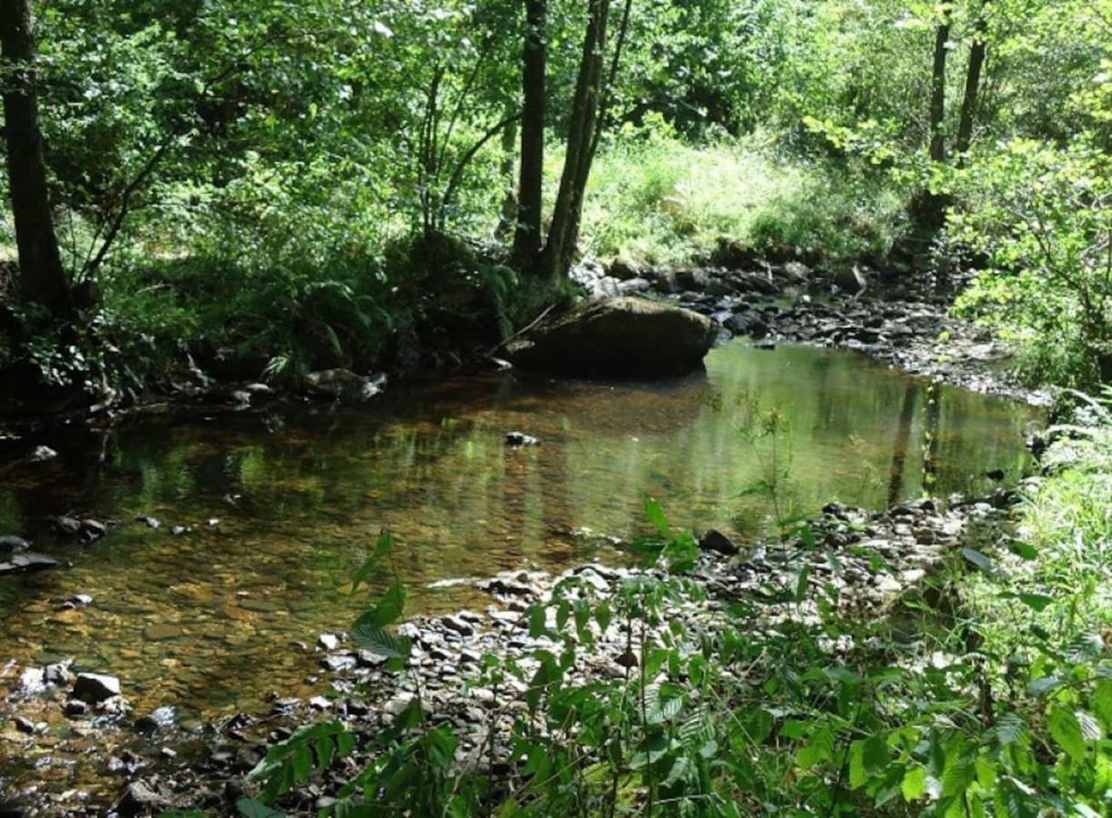 La Chouette Au Bouleau Βίλα Hargnies Εξωτερικό φωτογραφία