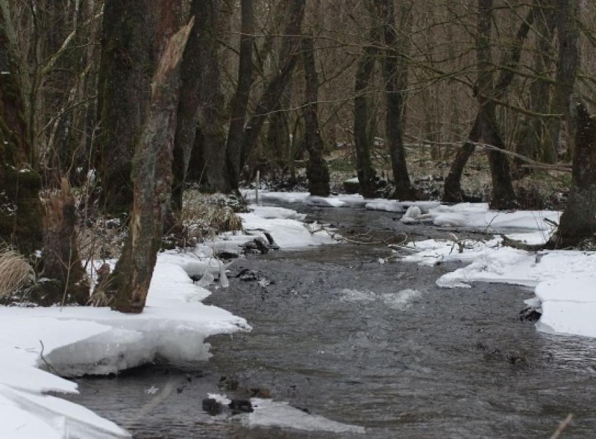La Chouette Au Bouleau Βίλα Hargnies Εξωτερικό φωτογραφία